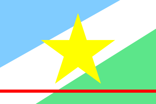 Bandeira de Roraima